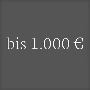bis 1.000 €